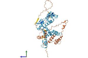 AlphaFold protein structure predicition of Human Recombinant ZNF302 Protein, UniprotID Q9NR11