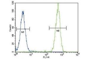 TERT antibody flow cytometric analysis of HeLa cells (green) compared to a negative control (blue). (TERT anticorps  (AA 627-656))