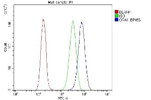 Flow Cytometry analysis of CACO-2 cells using anti-ORAI1 antibody (ABIN7601852). (ORAI1 anticorps  (AA 49-301))