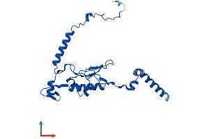 AlphaFold protein structure predicition of Human Recombinant RPL13 Protein, UniprotID P26373