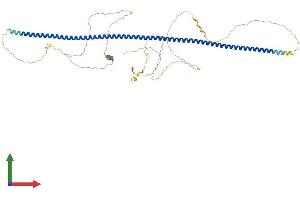 AlphaFold protein structure predicition of Human Recombinant POC5 Protein, UniprotID Q8NA72