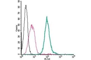 Cell surface detection of P2Y14 by direct flow cytometry in live intact mouse J774 macrophage cells: (black line) Cells.