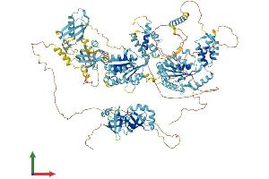AlphaFold protein structure predicition of Mouse Recombinant Pex1 Protein, UniprotID Q5BL07