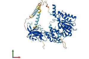 AlphaFold protein structure predicition of Mouse Recombinant Galnt18 Protein, UniprotID Q8K1B9
