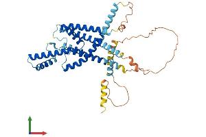 AlphaFold protein structure predicition of Human Recombinant KCNK13 Protein, UniprotID Q9HB14
