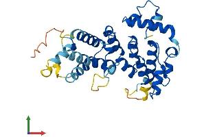AlphaFold protein structure predicition of Mouse Recombinant Asb17 Protein, UniprotID Q8VHP9
