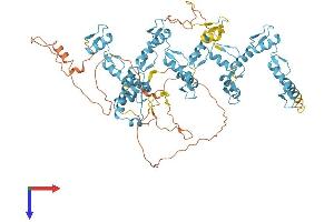 AlphaFold protein structure predicition of Mouse Recombinant Rbak Protein, UniprotID Q8BQC8