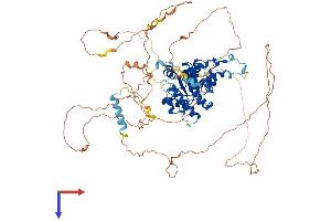 Fidgetin (FIGN) (AA 1-759) protein (His tag)