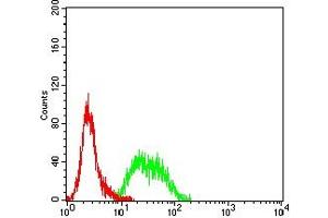 anti-MutS Homolog 6 (E. Coli) (MSH6) (AA 217-395) antibody
