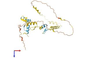 AlphaFold protein structure predicition of Human Recombinant SNAI1 Protein, UniprotID O95863