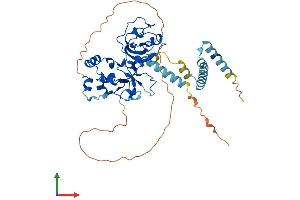 AlphaFold protein structure predicition of Human Recombinant UBR7 Protein, UniprotID Q8N806