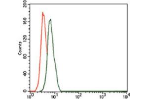 Immunohistochemical analysis of paraffin-embedded bladder cancer tissues using CD59 antibody with DAB staining. (CD59 anticorps  (AA 31-111))