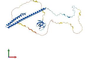AlphaFold protein structure predicition of Human Recombinant ABI3 Protein, UniprotID Q9P2A4