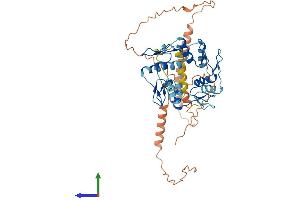 AlphaFold protein structure predicition of Human Recombinant ZNF3 Protein, UniprotID P17036