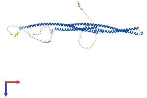 AlphaFold protein structure predicition of Mouse Recombinant Tekt5 Protein, UniprotID G5E8A8