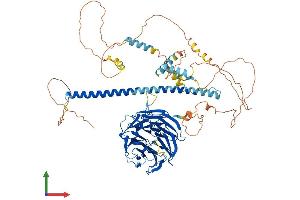 AlphaFold protein structure predicition of Mouse Recombinant Strn Protein, UniprotID O55106