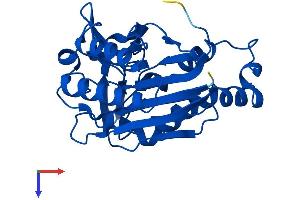 AlphaFold protein structure predicition of Human Recombinant NIT2 Protein, UniprotID Q9NQR4