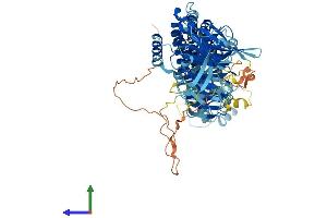 AlphaFold protein structure predicition of Human Recombinant ANAPC4 Protein, UniprotID Q9UJX5