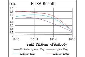 Black line: Control Antigen (100 ng), Purple line: Antigen(10 ng), Blue line: Antigen (50 ng), Red line: Antigen (100 ng),