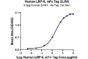 Immobilized Human DKK1, His Tag at 5 μg/mL (100 μL/Well) on the plate. (LRP6 Protein (AA 20-630) (mFc Tag))