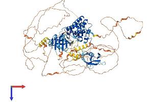 AlphaFold protein structure predicition of Mouse Recombinant Map3k14 Protein, UniprotID Q9WUL6