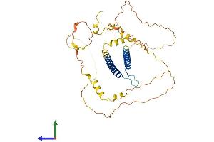 AlphaFold protein structure predicition of Mouse Recombinant Bhlhe22 Protein, UniprotID Q8C6A8