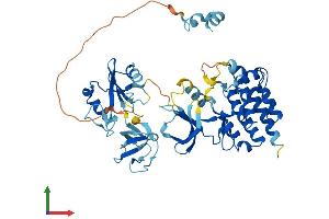 AlphaFold protein structure predicition of Mouse Recombinant Srms Protein, UniprotID Q62270