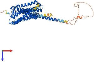 G Protein-Coupled Receptor 84 (GPR84) (AA 1-396) protein (His tag)