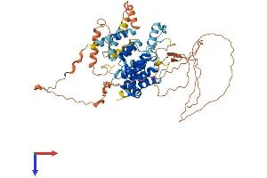 AlphaFold protein structure predicition of Human Recombinant TBC1D3I Protein, UniprotID A0A087WXS9
