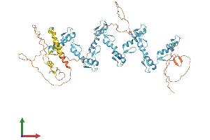 AlphaFold protein structure predicition of Human Recombinant ZNF283 Protein, UniprotID Q8N7M2