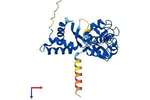 AlphaFold protein structure predicition of Mouse Recombinant Nsmce1 Protein, UniprotID Q9D720