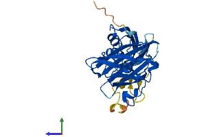 AlphaFold protein structure predicition of Human Recombinant CCS Protein, UniprotID O14618