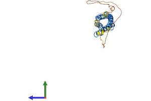 AlphaFold protein structure predicition of Human Recombinant SYNPR Protein, UniprotID Q8TBG9
