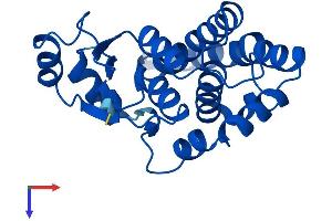 AlphaFold protein structure predicition of Human Recombinant GSTA1 Protein, UniprotID P08263
