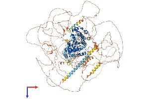 AlphaFold protein structure predicition of Human Recombinant TEX14 Protein, UniprotID Q8IWB6