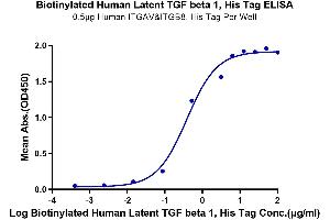 Immobilized Human ITGAV&ITGB8, His Tag at 5 μg/mL (100 μL/well) on the plate.