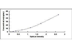 Typical standard curve (OAS2 Kit ELISA)