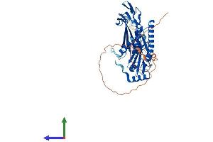 AlphaFold protein structure predicition of Mouse Recombinant Exosc9 Protein, UniprotID Q9JHI7