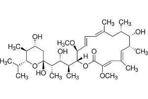Chemical structure of Bafilomycin A1 , a Autophagy inhibitor.