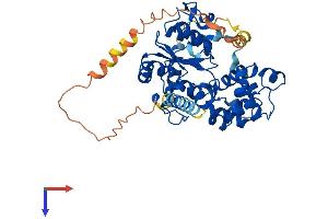 AlphaFold protein structure predicition of Mouse Recombinant Chst12 Protein, UniprotID Q99LL3