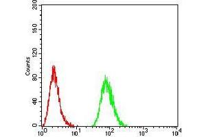 Flow cytometric analysis of HeLa cells using SK2 mouse mAb (green) and negative control (red).