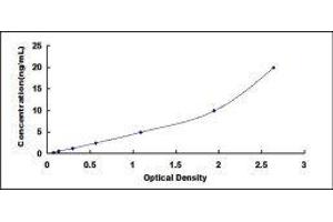 Phosphoinositide-3-Kinase, Catalytic, delta Polypeptide (PIK3CD) ELISA Kit