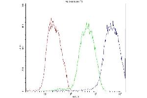 Flow Cytometry analysis of K562 cells using anti-ATF2 antibody (ABIN3043791).