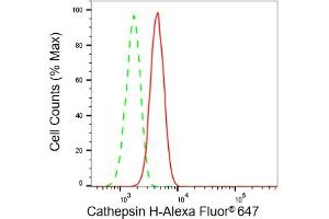 Flow cytometric analysis of Cathepsin H expression in H9c2 cells using Cathepsin H antibody (ABIN7797940), 1:2,000).