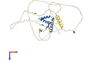 AlphaFold protein structure predicition of Human Recombinant SOX17 Protein, UniprotID Q9H6I2