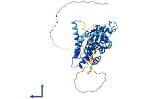 AlphaFold protein structure predicition of Human Recombinant NR2F6 Protein, UniprotID P10588