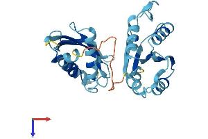 AlphaFold protein structure predicition of Mouse Recombinant Rwdd3 Protein, UniprotID Q8VIL2