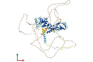 AlphaFold protein structure predicition of Mouse Recombinant Nbn Protein, UniprotID Q9R207