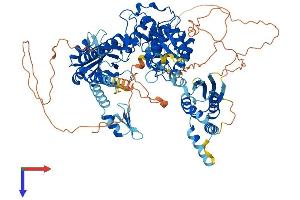 AlphaFold protein structure predicition of Mouse Recombinant Tut1 Protein, UniprotID Q8R3F9