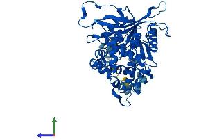 AlphaFold protein structure predicition of Mouse Recombinant Ephx1 Protein, UniprotID Q9D379